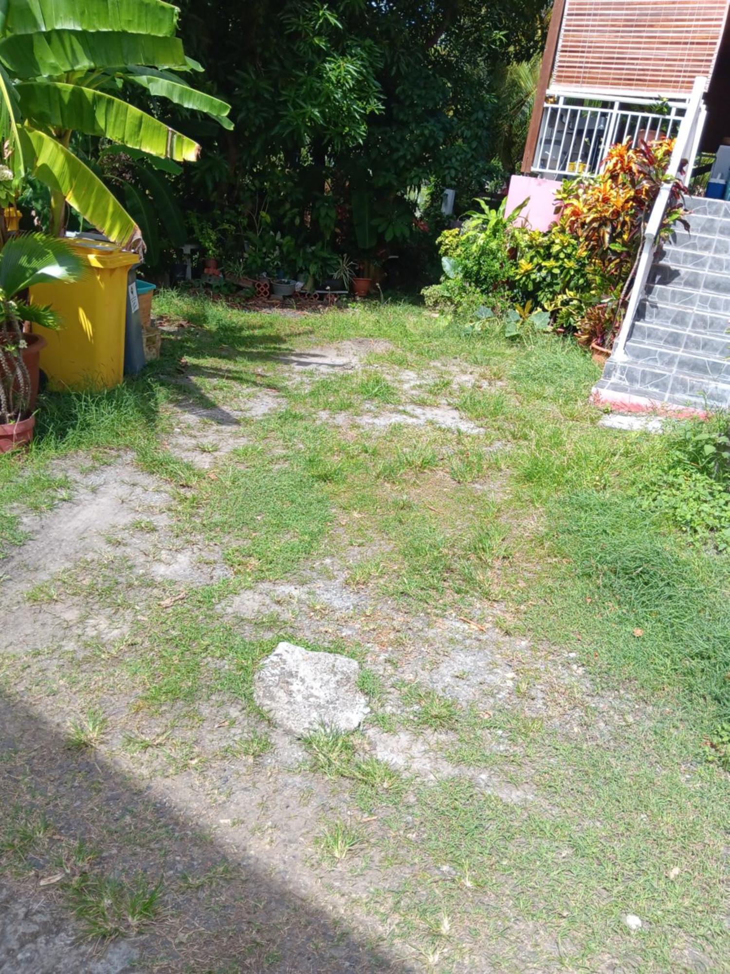 Sous Le Manguier Apartamento Sainte-Anne Exterior foto